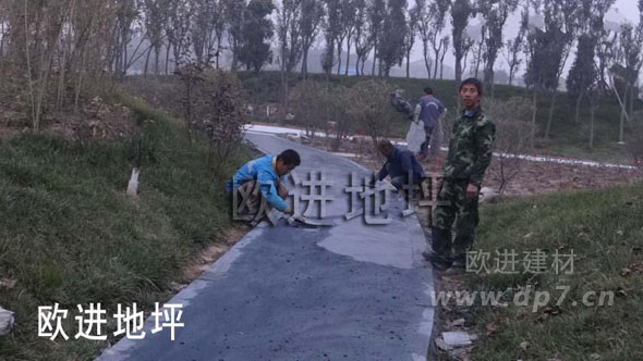 彩色壓模地坪-歐進(jìn)地坪www.wzzzy.cn