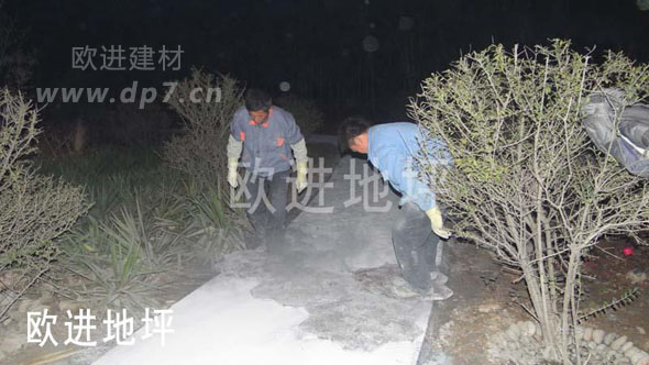 彩色壓模地坪-歐進(jìn)地坪www.wzzzy.cn