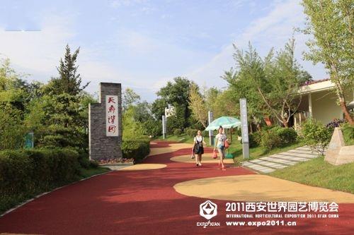 彩色防滑路面施工廠家-歐進建材www.wzzzy.cn