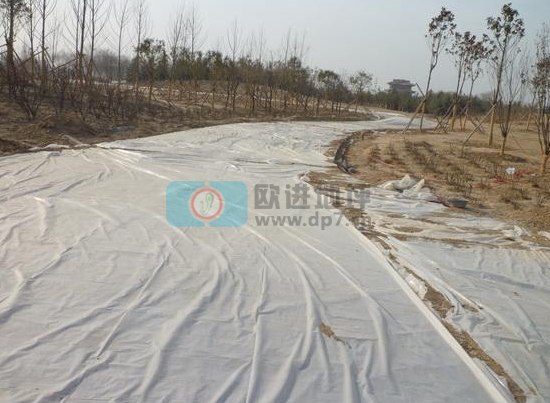 彩色生態(tài)透水混凝土地坪-歐進建材www.wzzzy.cn